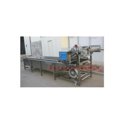 果蔬清洗機(jī)選購指南 第40頁機(jī)械設(shè)備深度解析